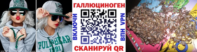 наркошоп  hydra рабочий сайт  Галлюциногенные грибы мицелий  Королёв 